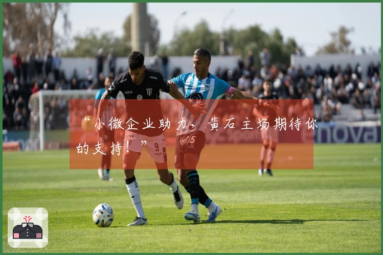 “小微企业助力，黄石主场期待你的支持！”